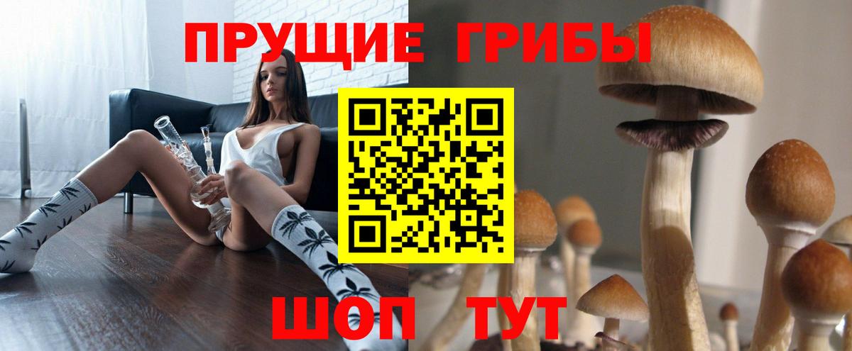 Псилоцибиновые грибы Magic Shrooms  закладки  Сертолово  Галлюциногенные грибы GOLDEN TEACHER  Вход с VPN 